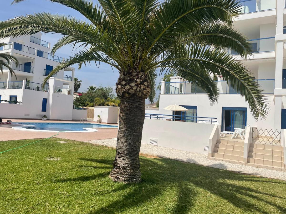 Apartamento 4 Personas, Amplias Terrazas Y 2Oo Mt De La Playa デニア エクステリア 写真